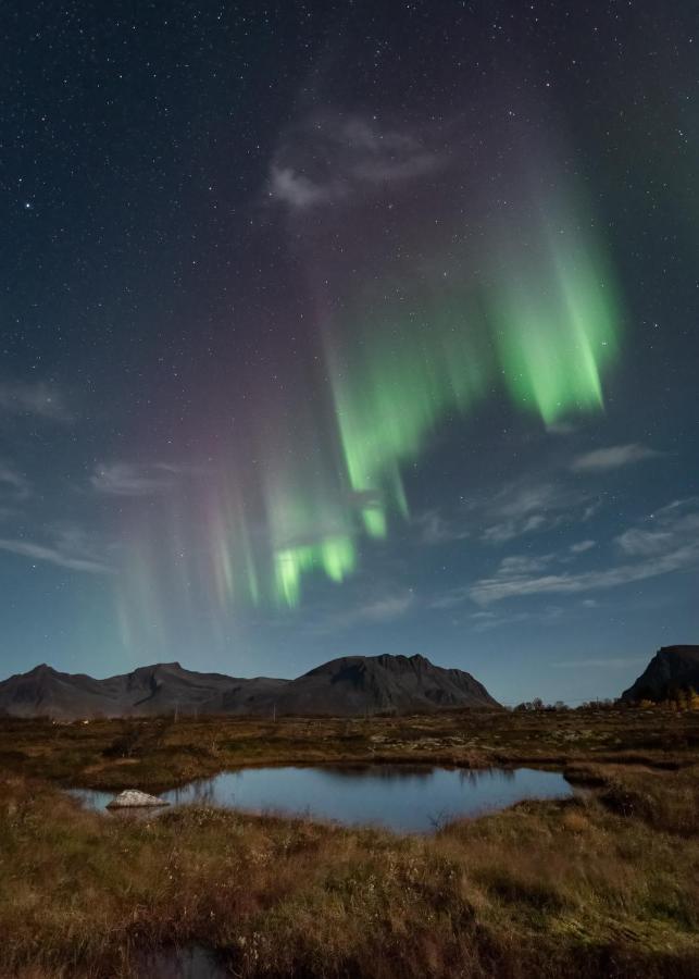 Lyngvaer Luggombu Kleppstad Exterior foto